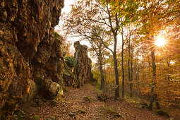 Naturschutzgebiet Teufelsley, größter zusammenhängender Quarzitblock Europas, bei Hönningen, Eifel, Rheinland-Pfalz, Deutschland