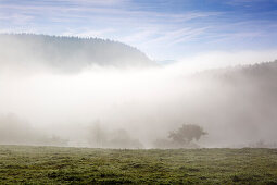 Morning mist, near Lind, Eifel, Rhineland-Palatinate, Germany