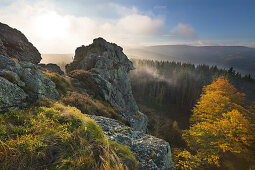 Morgennebel, Bruchhauser Steine, bei Olsberg, Rothaarsteig, Rothaargebirge, Sauerland, Nordrhein-Westfalen, Deutschland