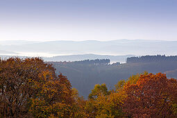 Morgennebel, Blick über die bewaldeten Höhenzüge, bei Wildewiese, Rothaargebirge, Sauerland, Nordrhein-Westfalen, Deutschland