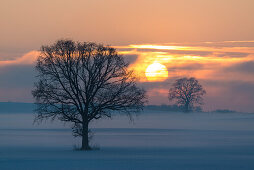 sunset in wintertime near Frieding, Bavaria, Germany