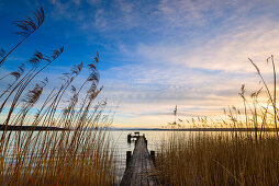jetty by the reed, lake Ammersee, Bavaria, Germany