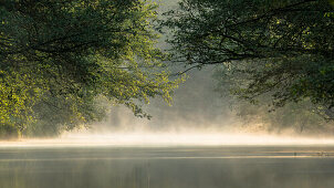 Spreewald Biosphere Reserve, Germany, Hiking, Kayaking, Recreation Area, Family Vacation, Family Outing, Paddling, Rowing, Wilderness, River Landscape, Sunrise, Sunbeams, Summer Morning, Mist, Water Reflection, Water Surface