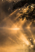 Spreewald Biosphere Reserve, Brandenburg, Germany, Kayaking, Recreation Area, Wilderness, River Landscape in the morning mist, Solitude, Water reflection at sunrise