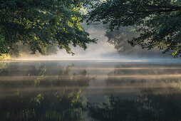 Biosphärenreservat Spreewald, Unterspreewald, Brandenburg, Deutschland, Kajaktouren, Naherholungsgebiet, Wildnis, Ausflug, Flusslandschaft im Morgennebel, Einsamkeit, Wasserspiegelung, Sonnenaufgang, Nebel, Kajakfahrer, Tourismus