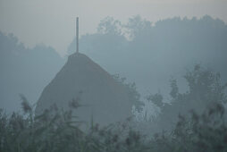 Biosphärenreservat Spreewald, Unterspreewald, Brandenburg, Deutschland, Naherholungsgebiet, Tradition, Kulturlandschaft, Bauern, Heu, Stroh