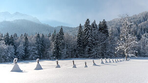 Germany, Bavaria, Alps, Oberallgaeu, Oberstdorf, Stillachtal, winter landscape, pasture fence, winter holidays, snow, mountains, coniferous forest and fence covered with snow