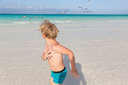 Junge auf der Flucht vor den Möwen, Touristen am schönsten Strand von Cayo Guillermo, Playa Pilar, einer der 10 schönsten Strände der Karibik, Pauschalurlaub, feiner Sand, Sandstrand, Strand, türkisblaues Meer, baden, Traumstrand, Familienreise nach Kuba,