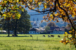 Pfarrkirche mit Feld, Aschau an den Chiemgauer Voralpen, Bayern, Deutschland