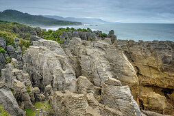 Rock formation at the coast, Pancake Rocks, Punakaiki, West Coast, South island, New Zealand