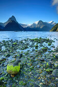 Milford Sound mit Mitre Peak, Milford Sound, Fiordlands Nationalpark, UNESCO Welterbe Te Wahipounamu, Southland, Südinsel, Neuseeland