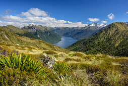 View towards Lake Te Anau, Kepler Track, Great Walks, Fiordland National Park, UNESCO Welterbe Te Wahipounamu, Southland, South island, New Zealand