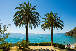 Aussichtsterasse mit Palmen, Rayol-Canadel-sur-Mer, Var, Côte d'Azur, Südfrankreich, Frankreich