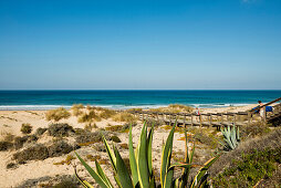 sandy beach and sea, Praia de Monte Clérigo, Atlantic coast, Algarve, Portugal