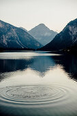 Landschaft am Plansee, Reutte, Tirol, Österreich, Europa.