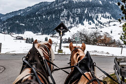 horse and carriage, snowy landscape, Illertal, Hoernerdoerfer, Allgaaeu, Baden-Wuerttemberg, Germany, Europe, winter, Alps