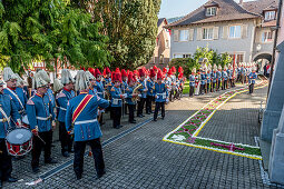 Musikkapelle, Fronleichnam, Prozession, Blumenteppich, Sipplingen, Überlinger See, Bodensee, Baden-Württemberg, Deutschland, Europa