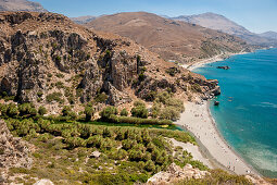 Palm tree lined river, canyon, Preveli, Crete, Greece, Europe