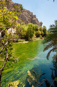 palm tree lined river, canyon, Preveli, Crete, Greece, Europe