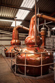distillation boiler at Dingle Whiskey Distillery, Dingle Peninsula, Slea Head Drive, County Kerry, Ireland, Wild Atlantic Way, Europe