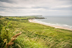 coastal landscape at Carrick-a-Rede rope brdige, Northern Ireland, United Kingdom, Europe