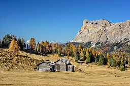 Almwiesen mit Heustadel und Fanes-Sennes-Gruppe, Pralongia, Dolomiten, UNESCO Welterbe Dolomiten, Venetien, Italien