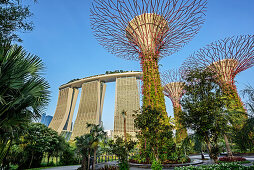 Marina Bay Sands und SuperTrees in Garden of the Bay, Marina Bay, Singapur