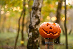 Children with pumpkin on Halloween, Hamburg, Germany