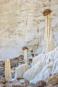 Weiße Felstürme am Wahweap River, Grand Staircase-Escalante National Monument, Utah, USA
