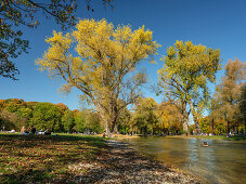 A woman swimming in the Eisbach through the autumnal Englischer Garten, several people relaxing on the shore, Munich, Upper Bavaria, Germany