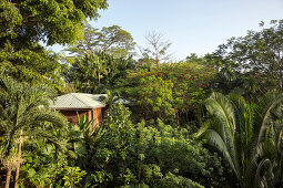 BELIZE, Punta Gorda, Toledo, some of the breathtaking scenery located around Belcampo Belize Lodge and Jungle Farm