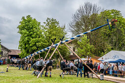 Stangenpaare, Schwaiberl, Scharstangen, Irxnschmalz, Maibaum-Aufstellen, Maibaum, Burschenverein, Tradition, Rituale, Frühling, Egmating, Bayern, Deutschland, Europa