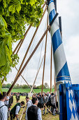 Stangenpaare, Schwaiberl, Scharstangen, Irxnschmalz, Maibaum-Aufstellen, Maibaum, Burschenverein, Tradition, Rituale, Frühling, Egmating, Bayern, Deutschland, Europa