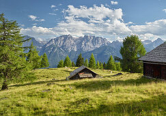 Blick über die Straganzalm zu den Lienzer Dolomiten, Osttirol, Tirol, Österreich