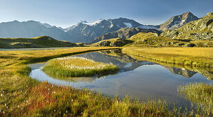  Wilder Freiger, Mother Lake Zuckerhütl, blade tip, Stubai Alps, Tyrol, Austria