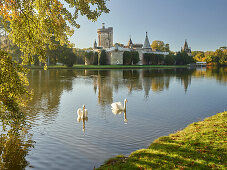 Schwäne, Franzenburg, Schlosspark Laxenburg, Niederösterreich, Österreich