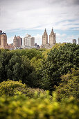 Blick vom Dach des Metropolitan Museum of Art auf den umliegenden Central Park, 5th Avenue, Manhattan, New York City, Vereinigte Staaten von Amerika, USA, Nordamerika