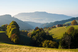 Landschaft im Herbst, Freiburg im Breisgau, Schwarzwald, Baden-Württemberg, Deutschland