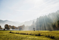Landschaft im Herbst, Freiburg im Breisgau, Schwarzwald, Baden-Württemberg, Deutschland