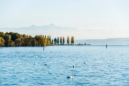 View of Lake Constance, in the back Swiss Alps with Säntis, Uhldingen-Mühlhofen, Lake Constance, Baden-Württemberg, Germany