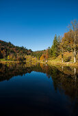 See mit Herbstwald, Wasserspiegelung, Nonnenmattweiher, Neuenweg, Schwarzwald, Baden-Württemberg, Deutschland