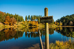 Lake with autumnal forest, water reflection, Nonnenmattweiher, Neuenweg, Black Forest, Baden-Württemberg, Germany