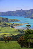 View in Akaroa Harbour, Peninsula of Akaroa, Eastcoast, South Island, New Zealand