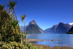 At Milford Sound, South Island, New Zealand