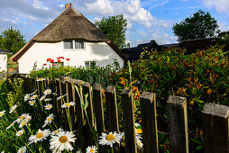 Haus mit Blumengarten in Hagen, Rügen, Ostseeküste, Mecklenburg-Vorpommern, Deutschland