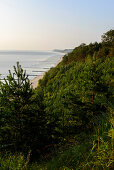 Blick vom Streckelsberg Klifflinie, Usedom, Ostseeküste, Mecklenburg-Vorpommern, Deutschland