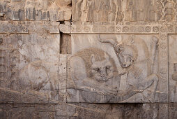 Relief in Persepolis, Iran, Asien