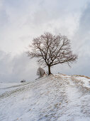 Winter landscape with Mesnerhauskapelle on the hill, Aidling, Upper Bavaria, Germany