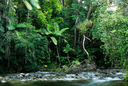 Ein Abschnitt des Mossman Rivers gehört zur Lodge, Silky Oaks Lodge, Queensland, Australien