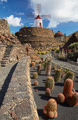 Kaktusgarten bei Guatiza, Jardín de Cactus, César Manrique, Lanzarote, Kanaren, Kanarische Inseln, Islas Canarias, Spanien, Europa